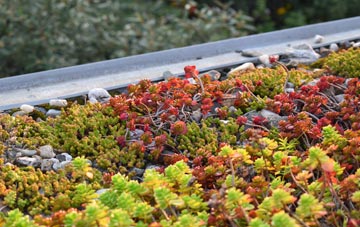 the cost of Muckamore green roof installation