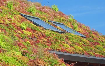Muckamore living roof systems