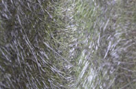 Muckamore fibreglass roof work